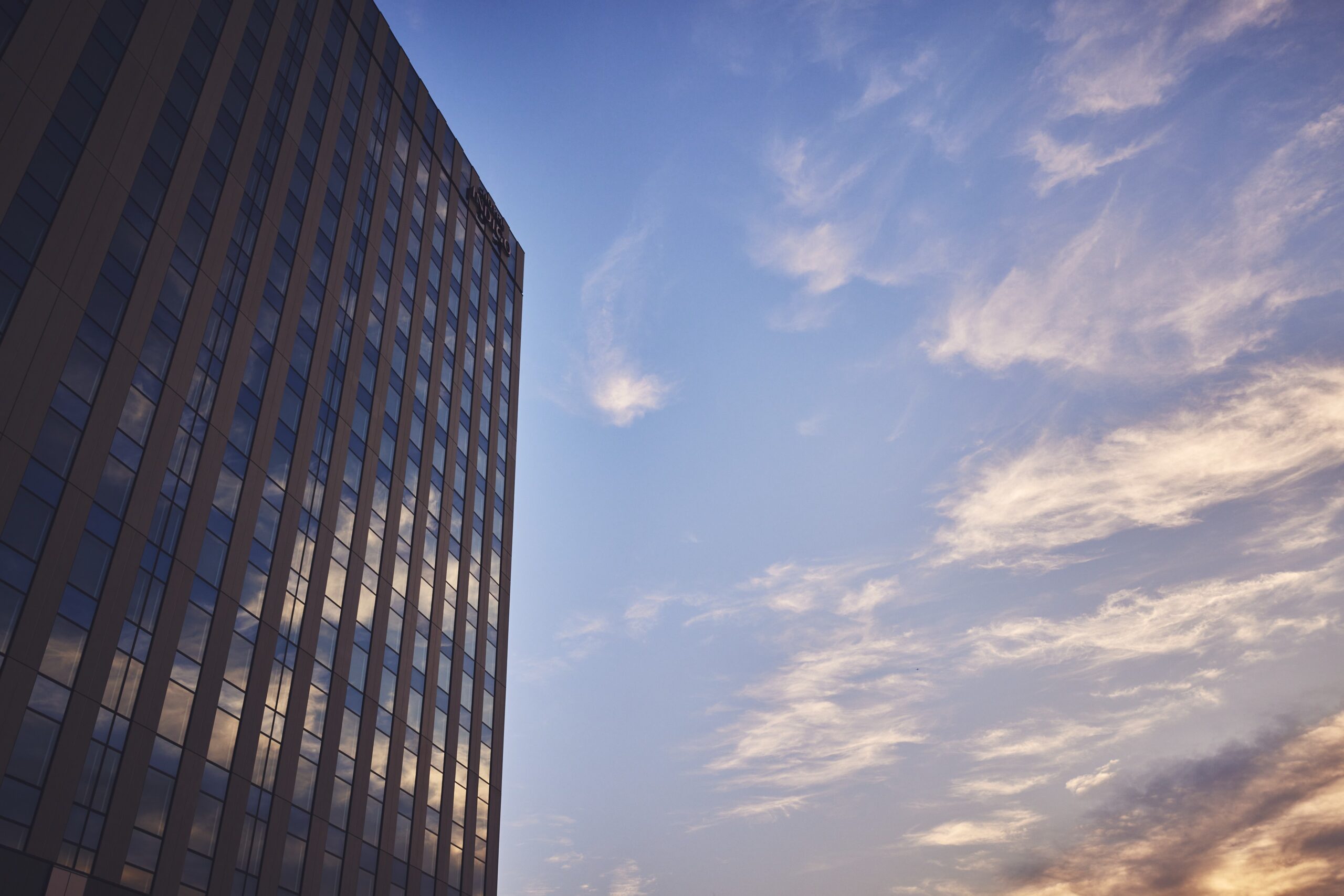 藍染ワークショップ