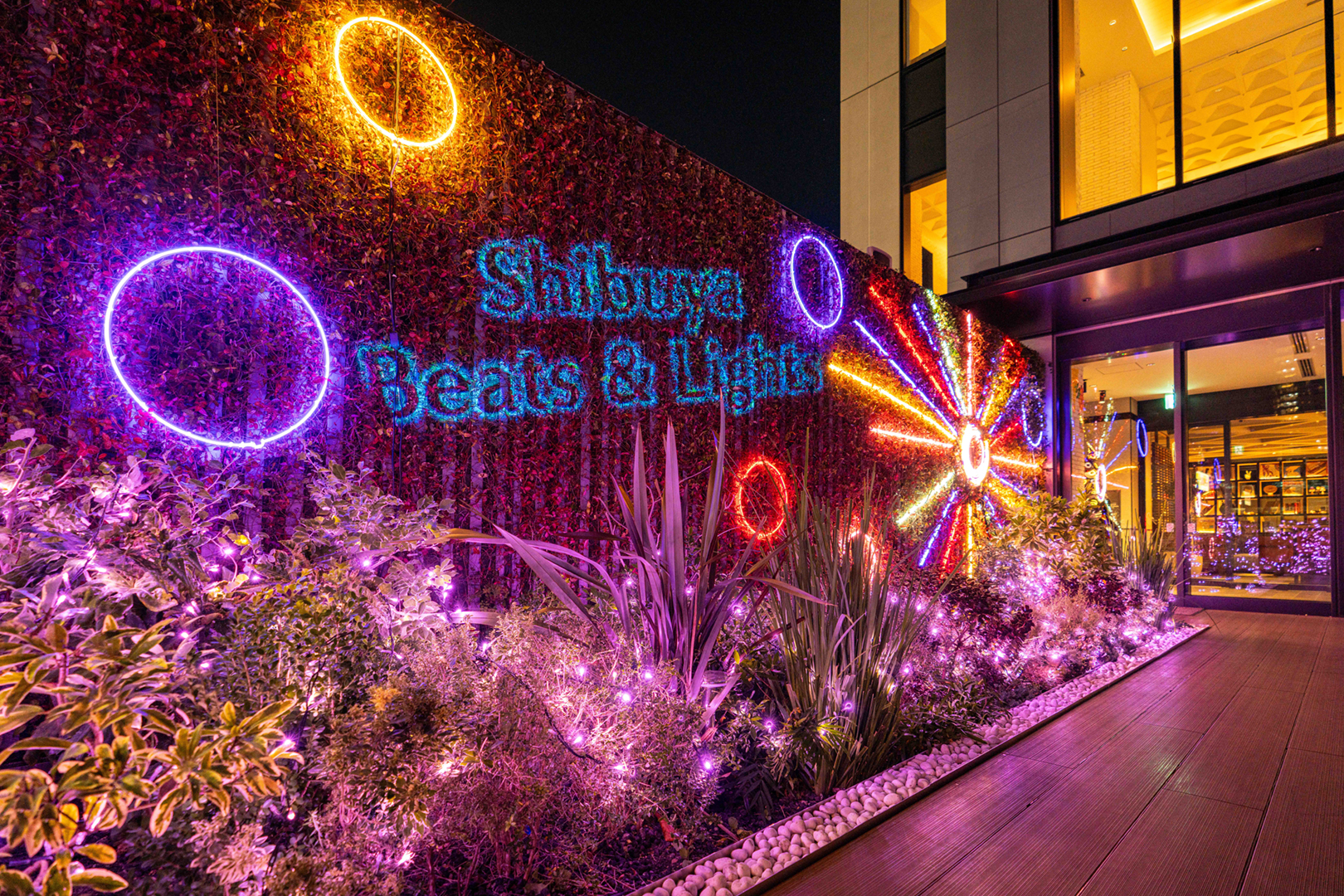 渋谷イルミネーション